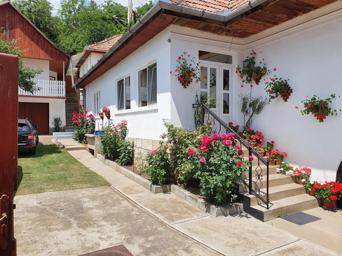 Rozsa Panzio Bed & Breakfast Rimetea Exterior photo