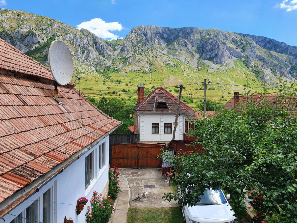Rozsa Panzio Bed & Breakfast Rimetea Exterior photo