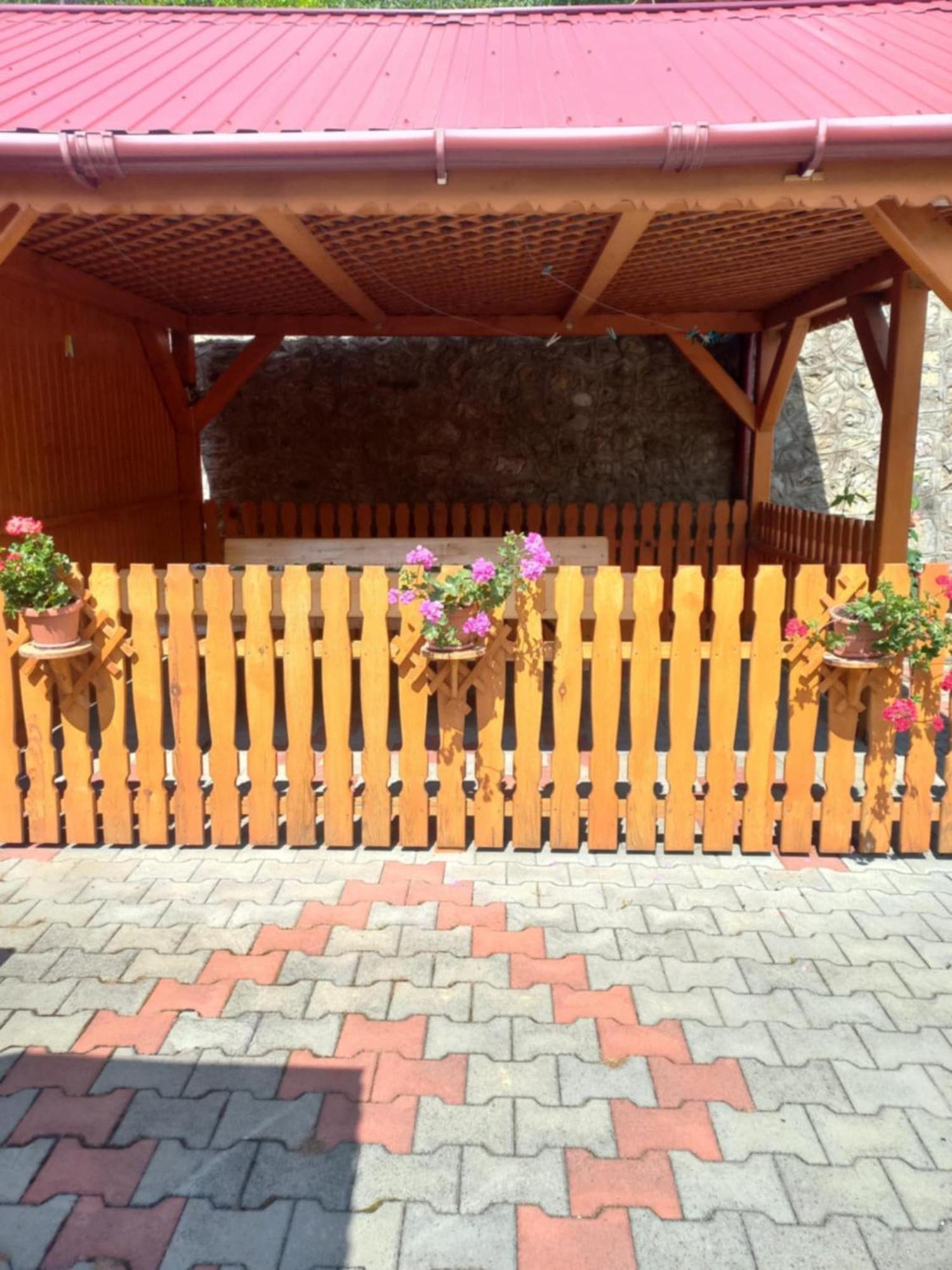 Rozsa Panzio Bed & Breakfast Rimetea Exterior photo